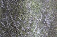 Ruthvoes fibreglass roof work